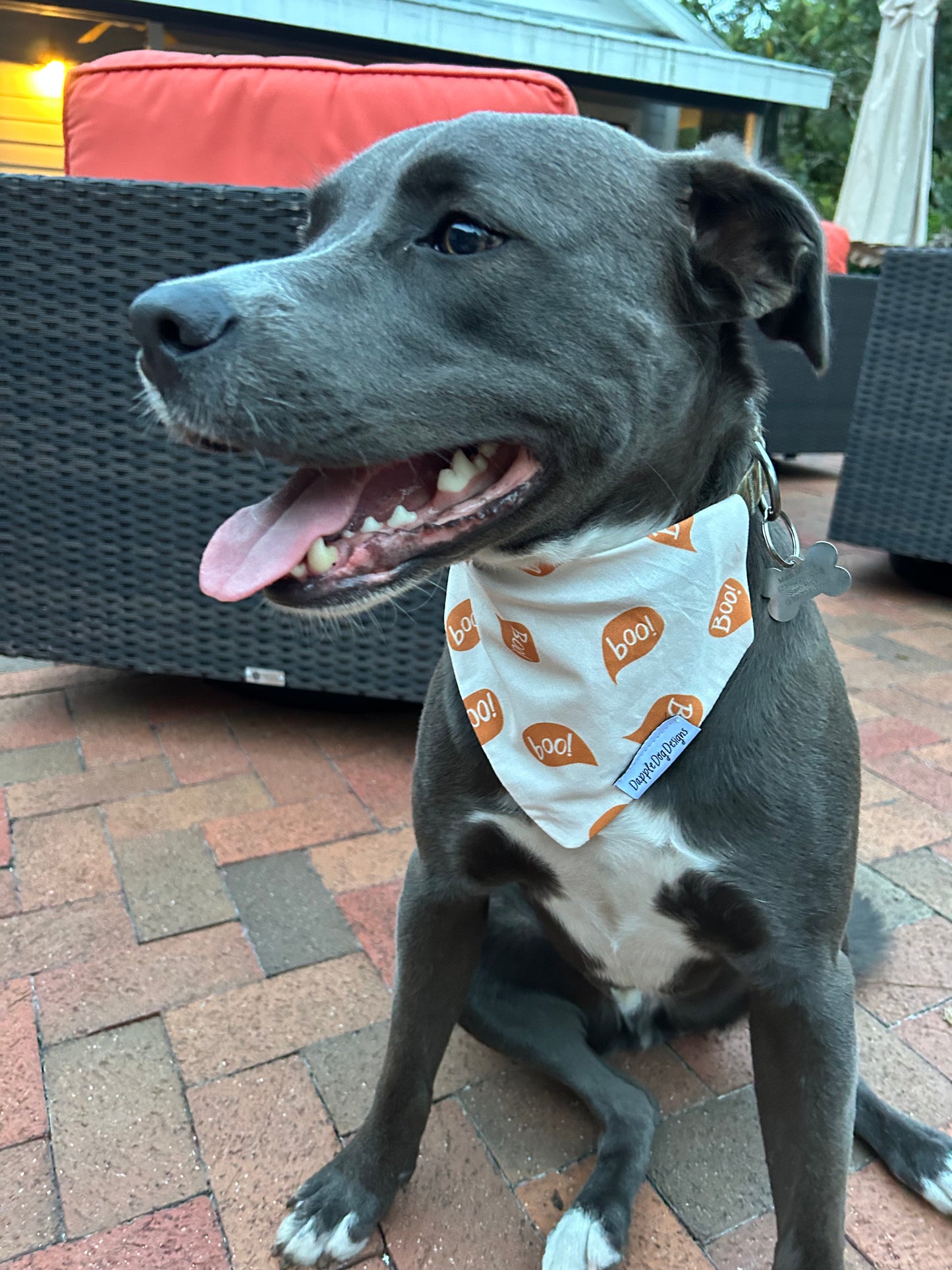 Boo! Dog Bandana